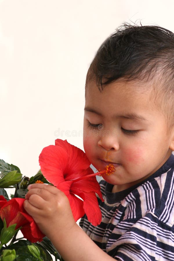 Boy smell flower stock image. Image of target, love, chinese 5191417