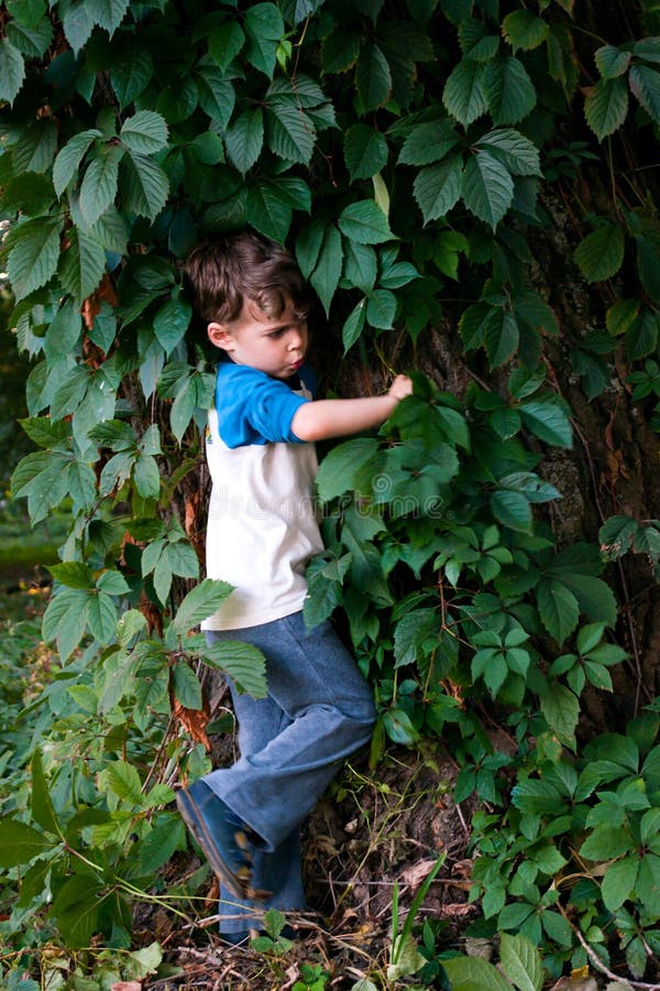 Boy among the foliage of wild grapes stock photos Boy among the foliage of wild grapes stock photos