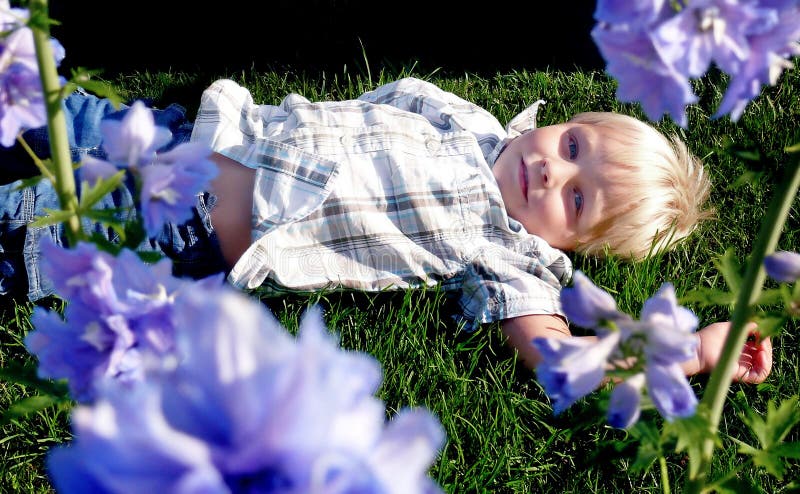 Boy in a garden stock ph