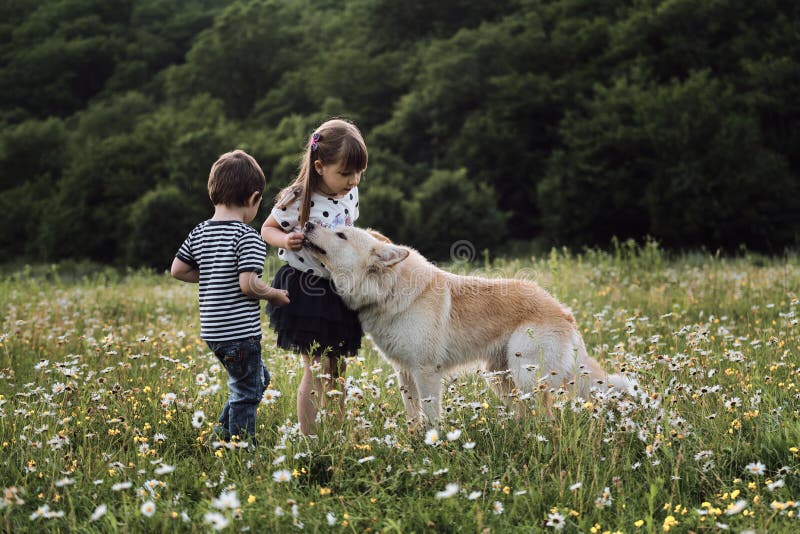 can you breed dogs that are brother and sister