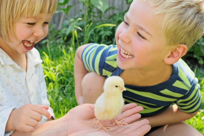 Boy, girl and chicken