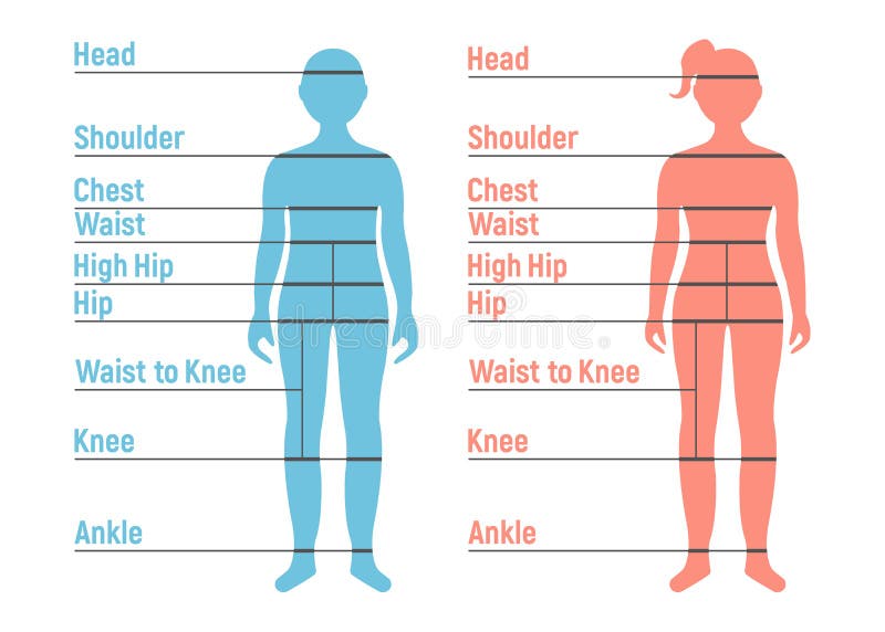 Human Made Size Chart