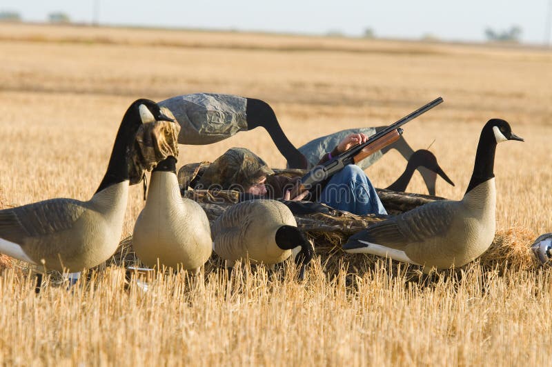 Boy Goose Hunting stock photo. Image of duck, hunt, sports 28539056