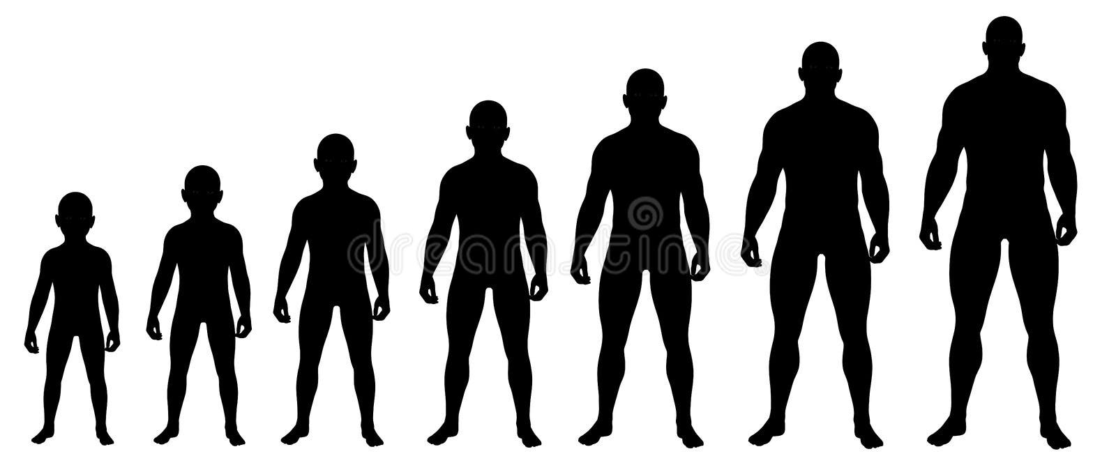 Boy Growing Up Stock Illustrations – 422 Boy Growing Up Stock  Illustrations, Vectors & Clipart - Dreamstime