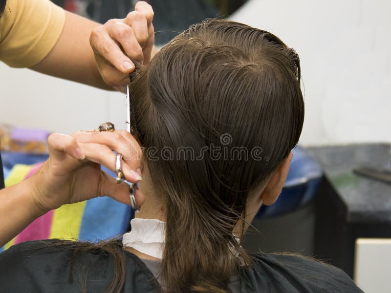 145,437 Hair Cut Stock Photos - Free & Royalty-Free Stock Photos from Dreamstime 145,437 Hair Cut Stock Photos - Free & Royalty-Free Stock Photos from Dreamstime