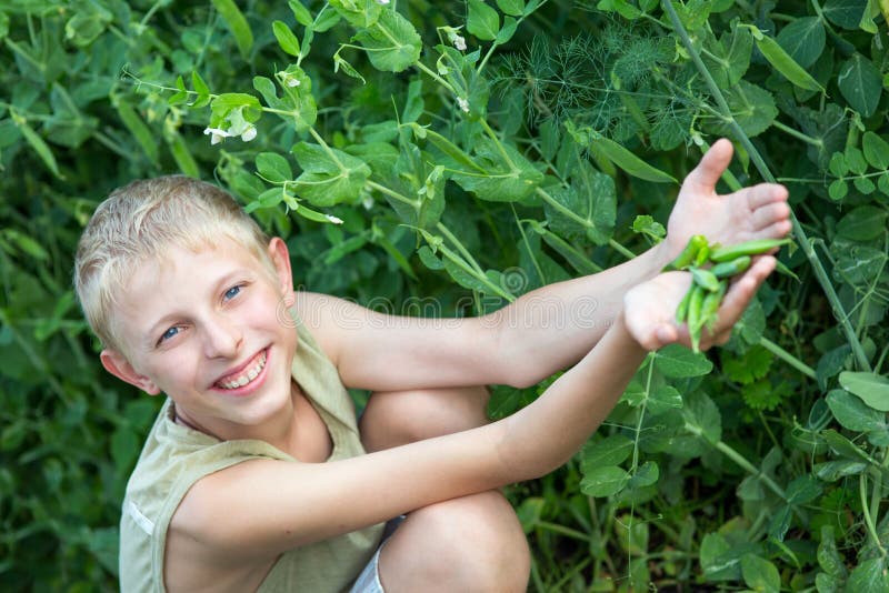 Boy Holding Peas Stock Photos Free & RoyaltyFree Stock Photos from