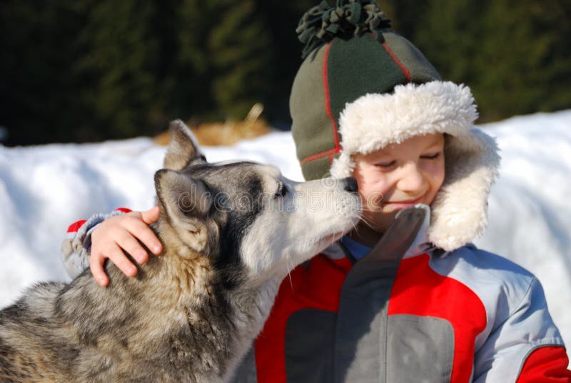 Boy with his husky dog stock photo. Image of smile, wear 5213430
