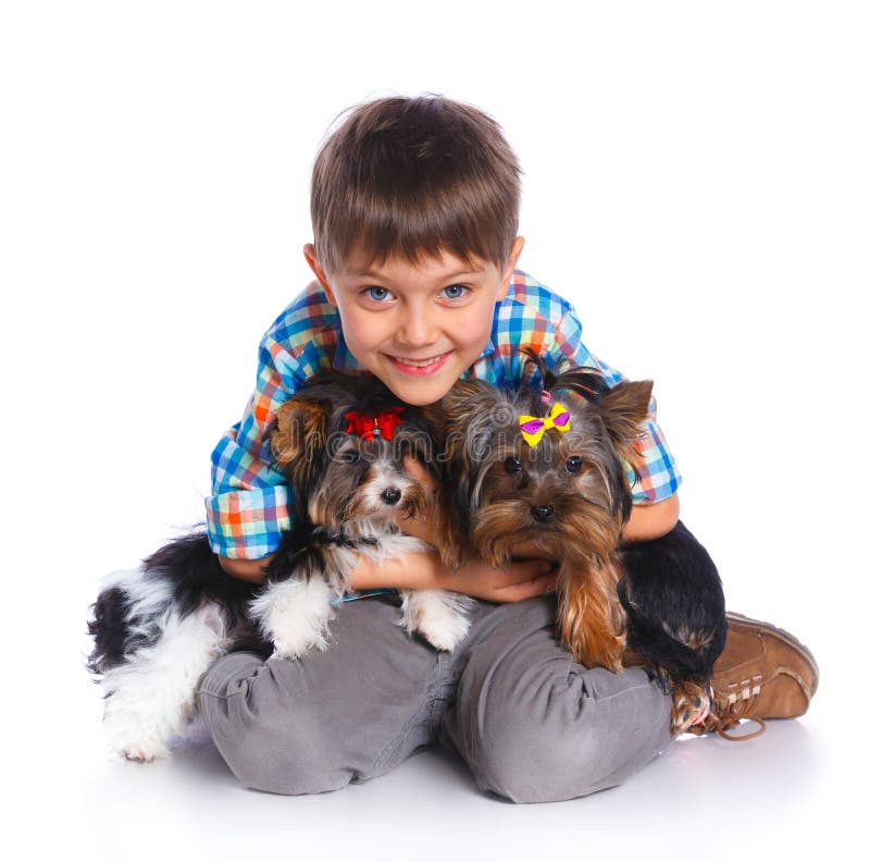 Boy with His Yorkshire Terrier Stock Image Image of affection, blue