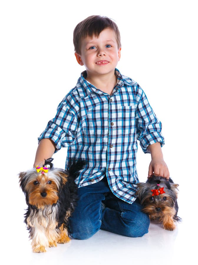Boy with His Yorkshire Terriers Stock Image Image of animal, schooler