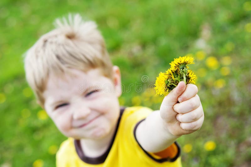 Giving Dandelions Bouquet Stock Photos - Free & Royalty-Free Stock Photos from Dreamstime