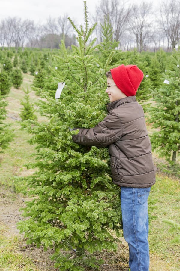 Boy Hugging The Perfect Christmas Tree Found On Tree Farm Stock Image
