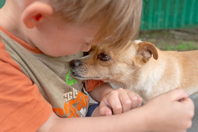 A boy hugs a little dog and feeds her off his arms, concept of friendship and trust