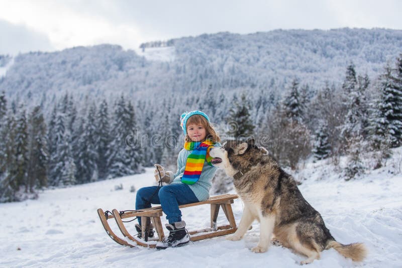 Boy kid with dog enjoying a sleigh ride. Child on sleigh. Child plays outside in the snow. Winter, holiday and Christmas