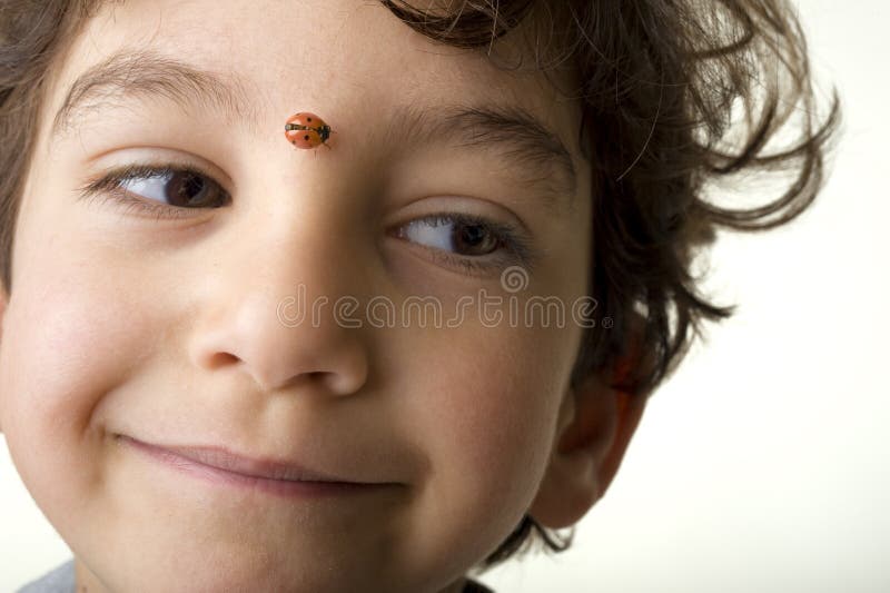 Young boy with a ladybug on his face. Young boy with a ladybug on his face