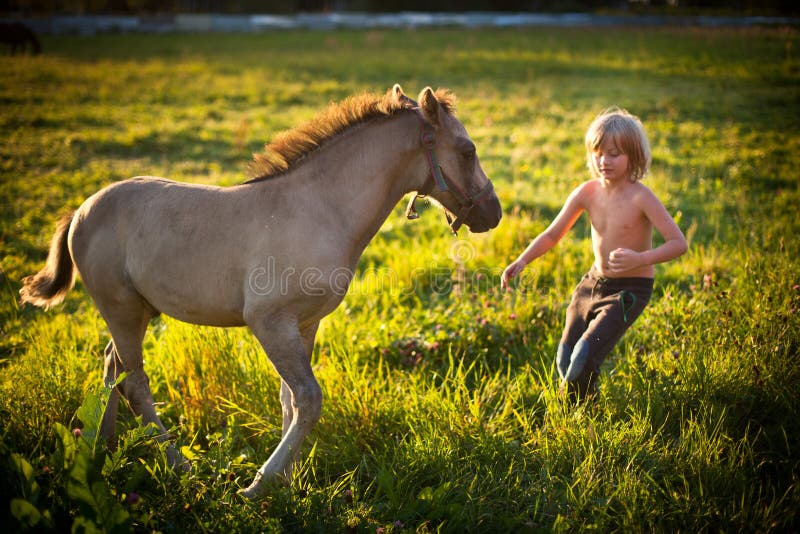 Boy with little horse stock photo. Image of child, happiness 34291966