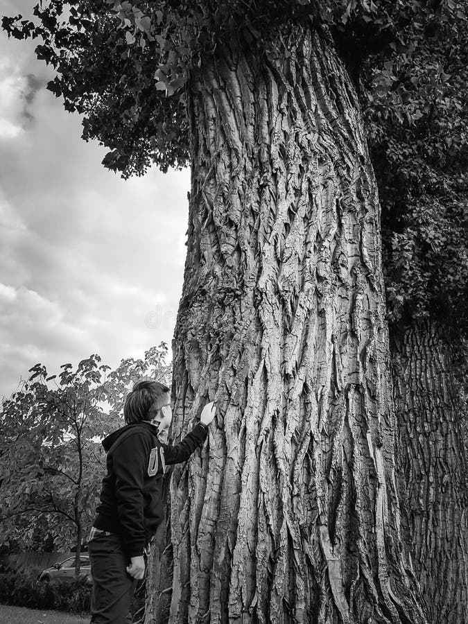 The boy next to the huge trunk of a poplar tree looks up at the crown of the tree. The concept of caring for nature. Black and white. The boy next to the huge trunk of a poplar tree looks up at the crown of the tree. The concept of caring for nature. Black and white.