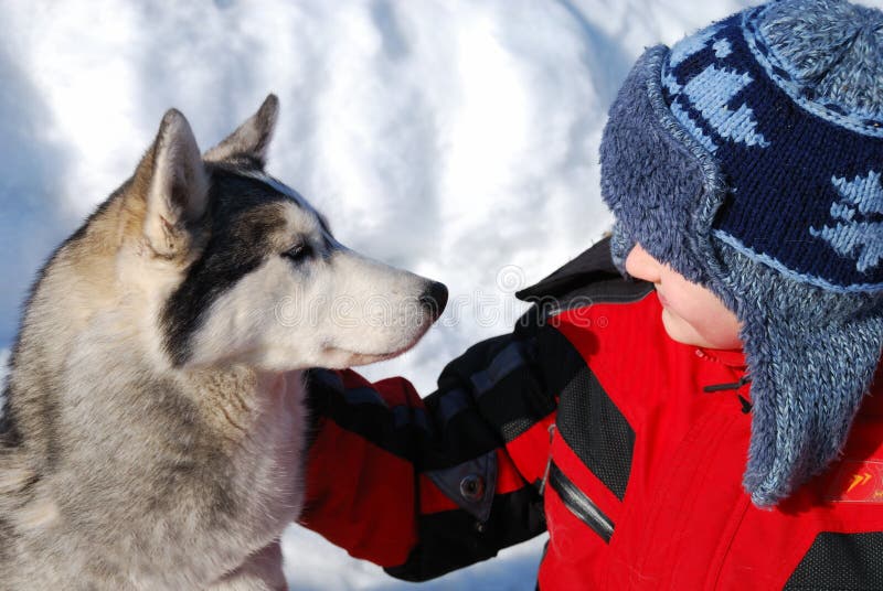 Boy with pet dog stock photo. Image of seated, sitting 29225716