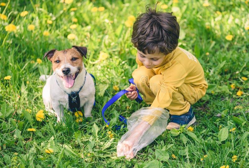 how do you keep your dog from pooping