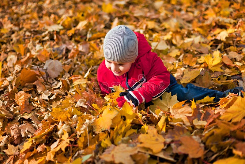 Он любит играть листьями. Мальчик с листом. Мальчик в осенних листьях. Мальчик собирает листики. Девочка собирает листья.