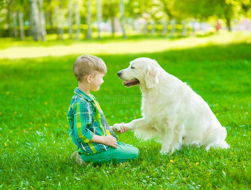 Boy playing with the dog on green grass royalty free stock photo Boy playing with the dog on green grass royalty free stock photo
