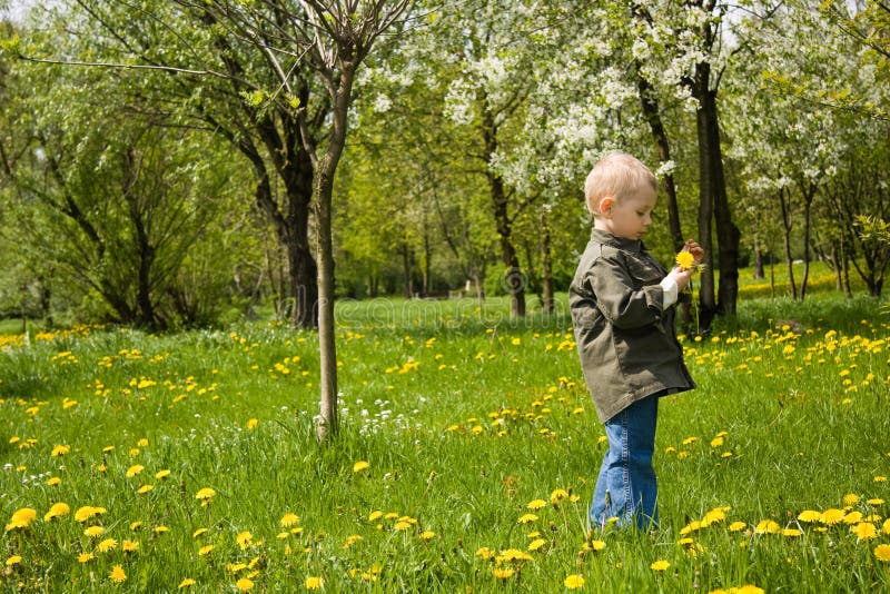 Boy playing with flowers