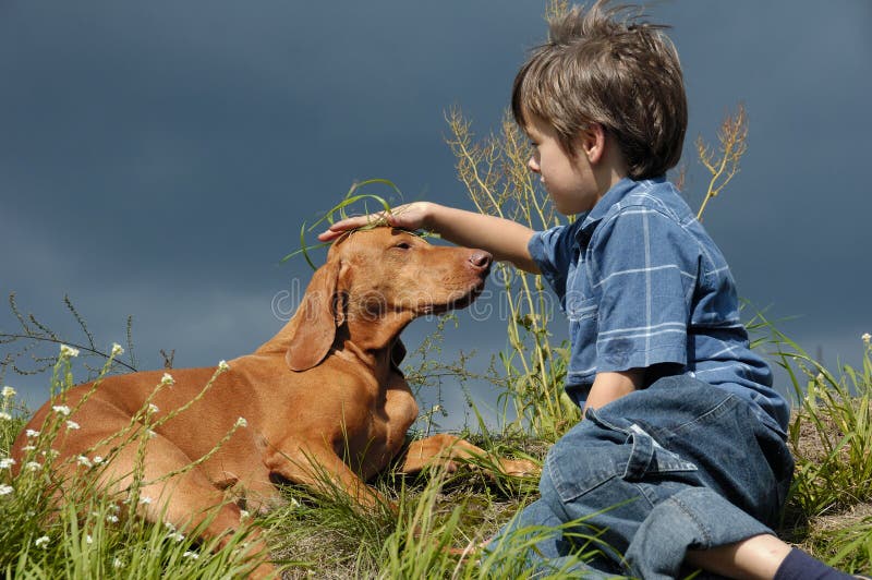 Boy Playing With His Dog