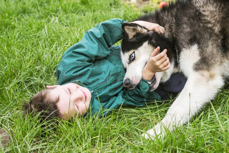 Boy playing with his dog. Happy child plays with siberian husky dog. Active children concept