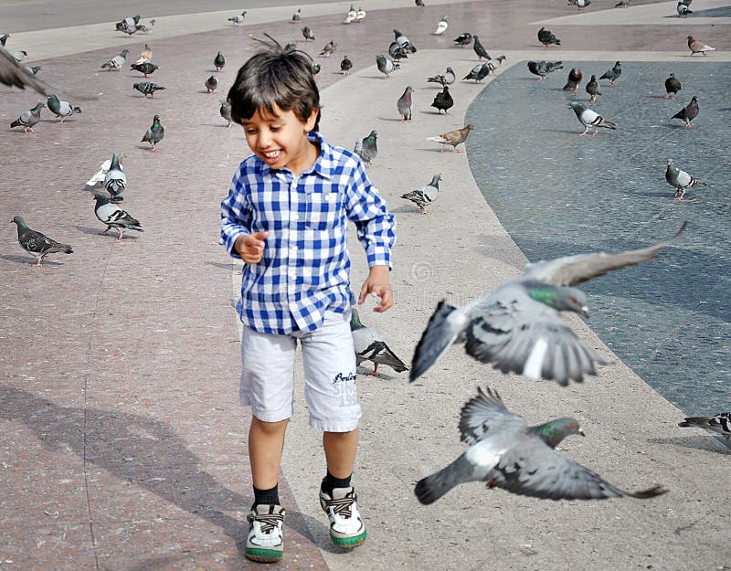 Boy playing with pigeons editorial stock photo. Image of game 38864678