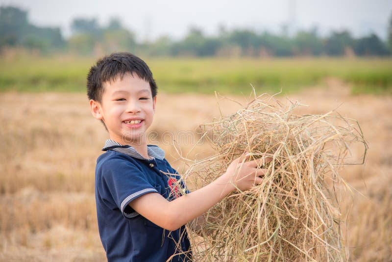 Boy playing in rice field after cultivated