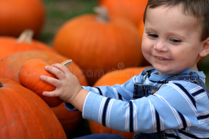 Boy With Pumpkins stock images