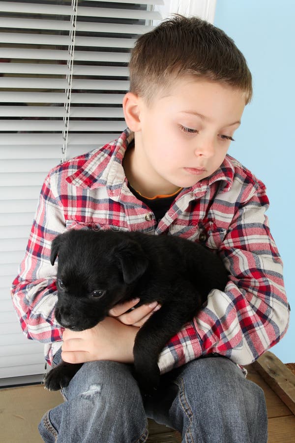 Boy and puppy stock image. Image of childhood, male, interior - 22903097