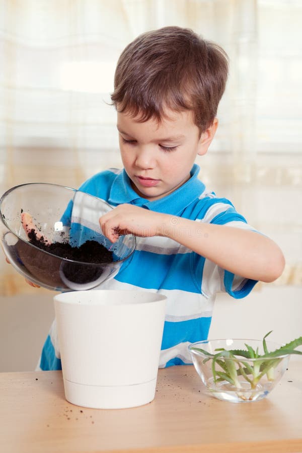 Flower pot with soil stock photo. Image of soil, isolated 24222850