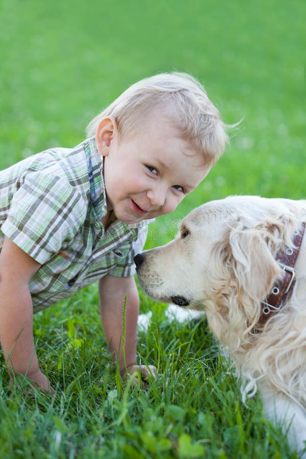 Boy with retriever outdoor stock photo. Image of blonde - 20764284