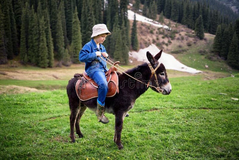 Boy rides a donkey stock images Boy rides a donkey stock images