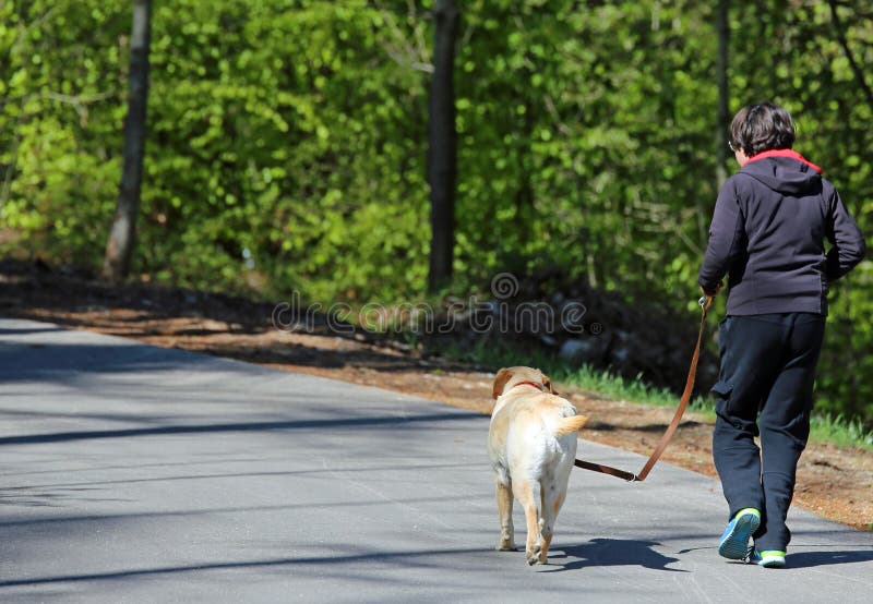 Boy Running Down Road His Dog Stock Photos Free & RoyaltyFree Stock
