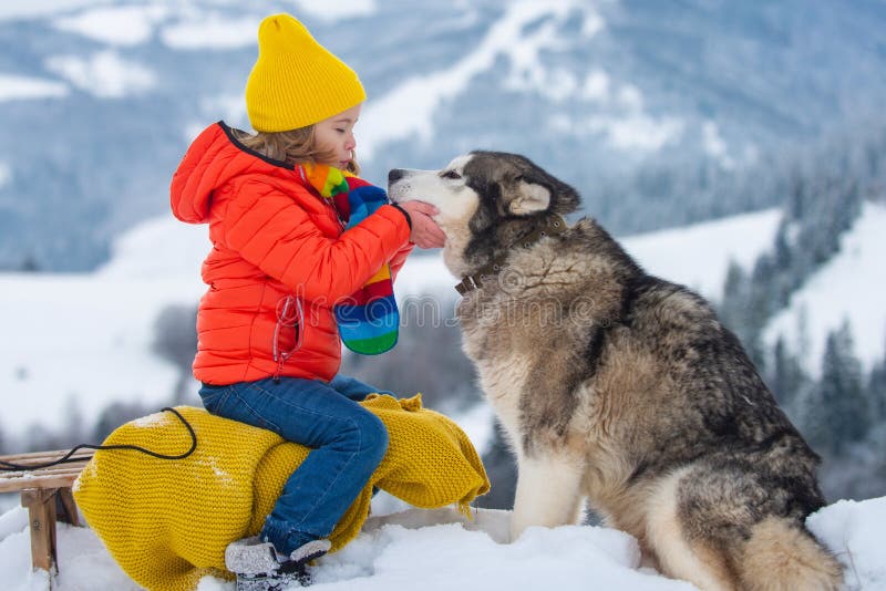 Boy sledding, enjoying sleigh ride. Child sitting on the sleigh with siberian husky dog. Children play with snow. Winter