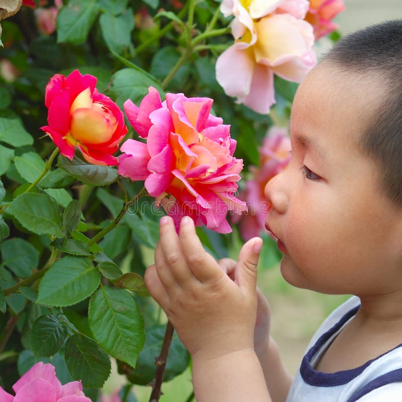 Boy smell flower stock image. Image of play, aroma, target - 5108561