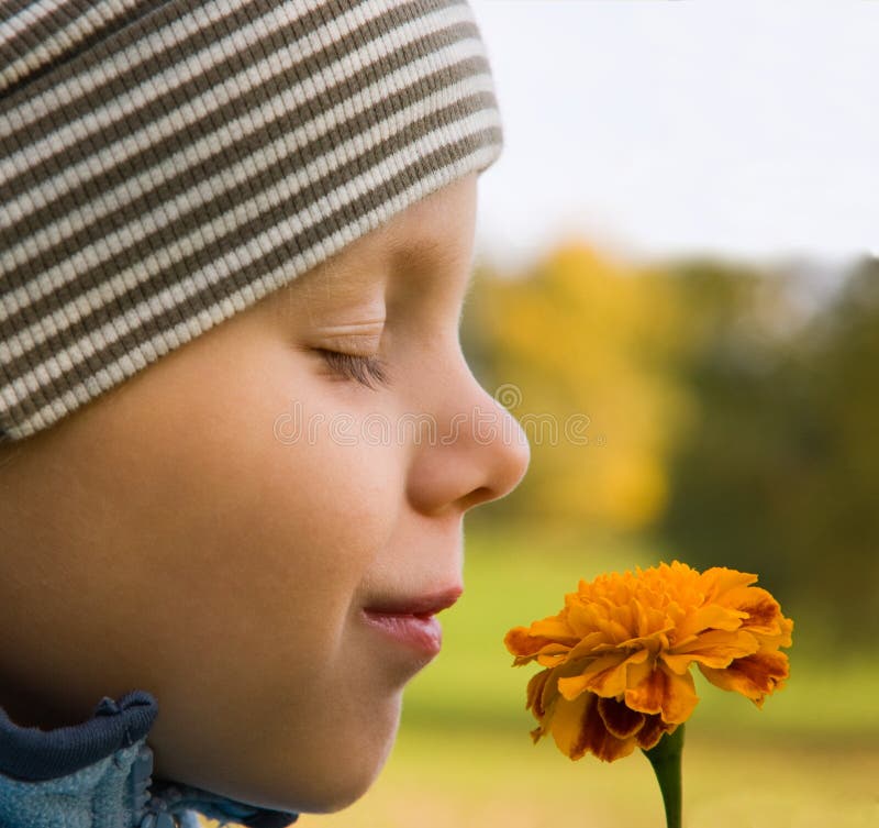 Boy smelling flower in autumn