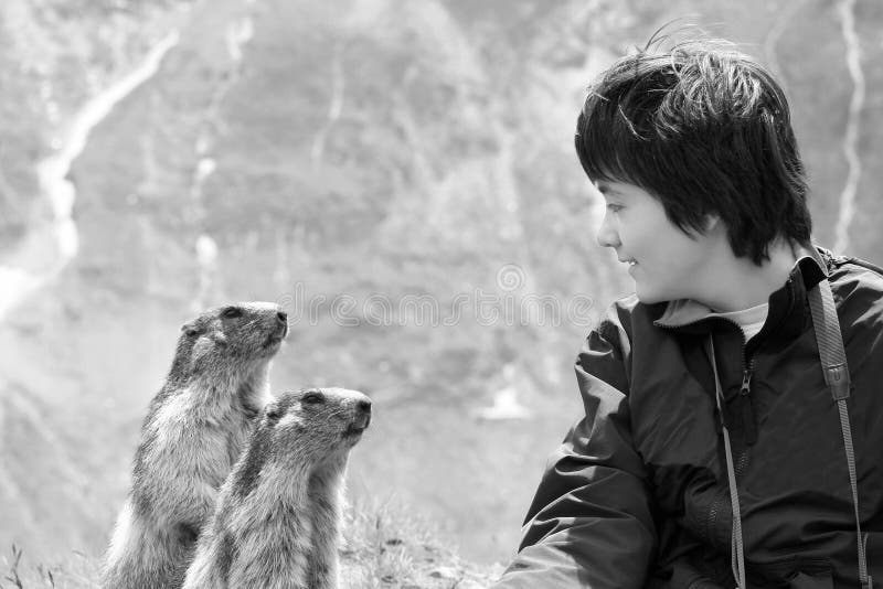 boy squirrels trust στοκ εικόνες boy squirrels trust στοκ εικόνες