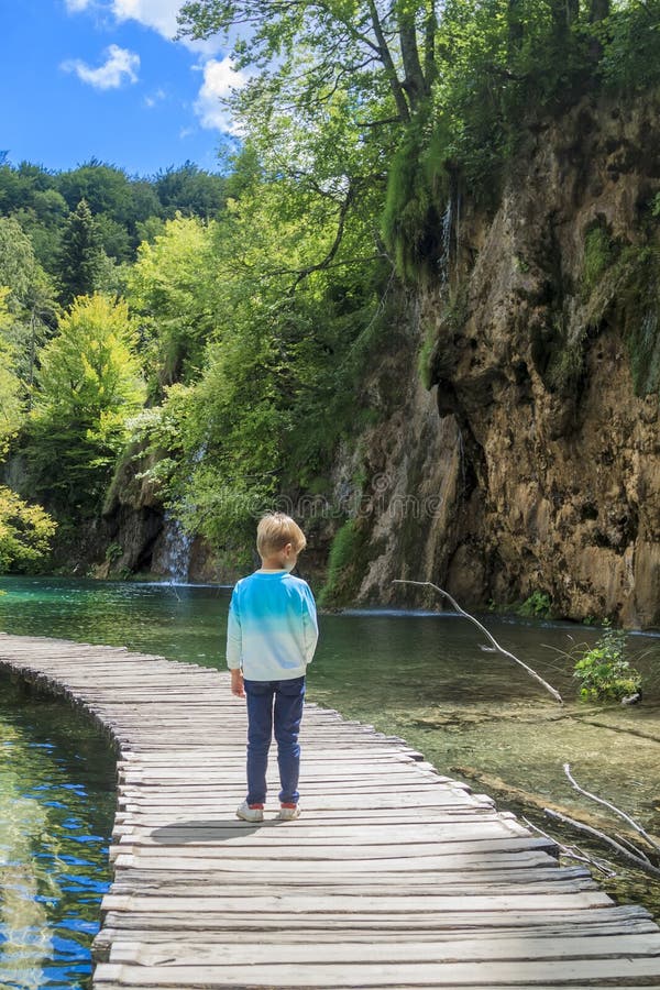 Boy standing on a wooden path going through the untouched thicke