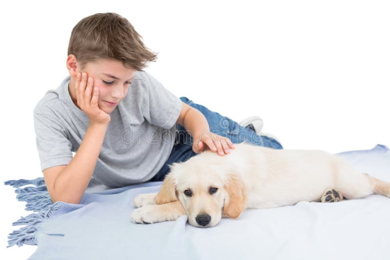 Boy Stroking Dog Lying Blanket Stock Photos Free & RoyaltyFree Stock