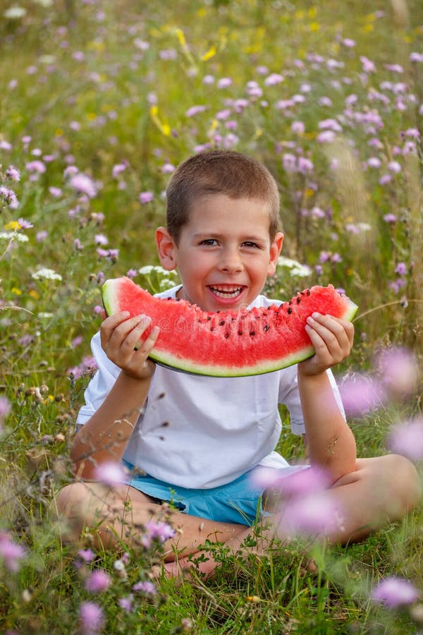 Boy with watermelon stock photo. Image of happiness, seed 43042344