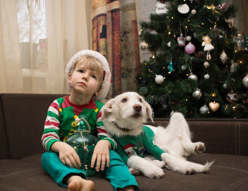 Boy of 4-5 years old dressed as an elf sits on sofa next to a white puppy near Christmas tree