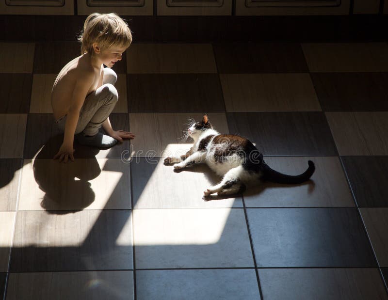 Boy of 4-5 years old gently looks at his beloved domestic pregnant cat