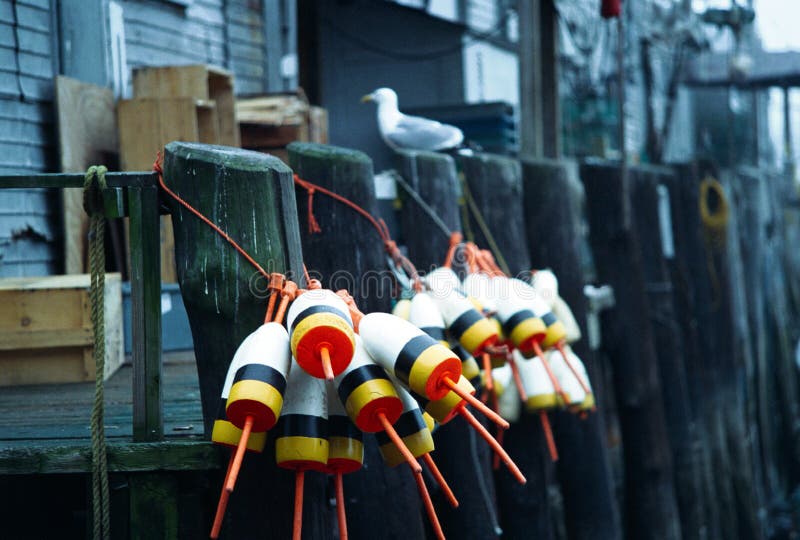 Groups of lobster buoys are tied to a fisherman's wharf in Portland, Maine. Groups of lobster buoys are tied to a fisherman's wharf in Portland, Maine.