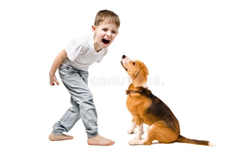 Boze jongen die bij zijn hond gillen stock afbeeldingen Boze jongen die bij zijn hond gillen stock afbeeldingen