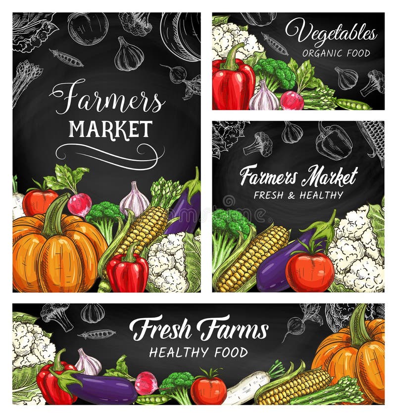 Bozzetti di ortaggi freschi o vegetali sulla lavagna illustrazione di stock