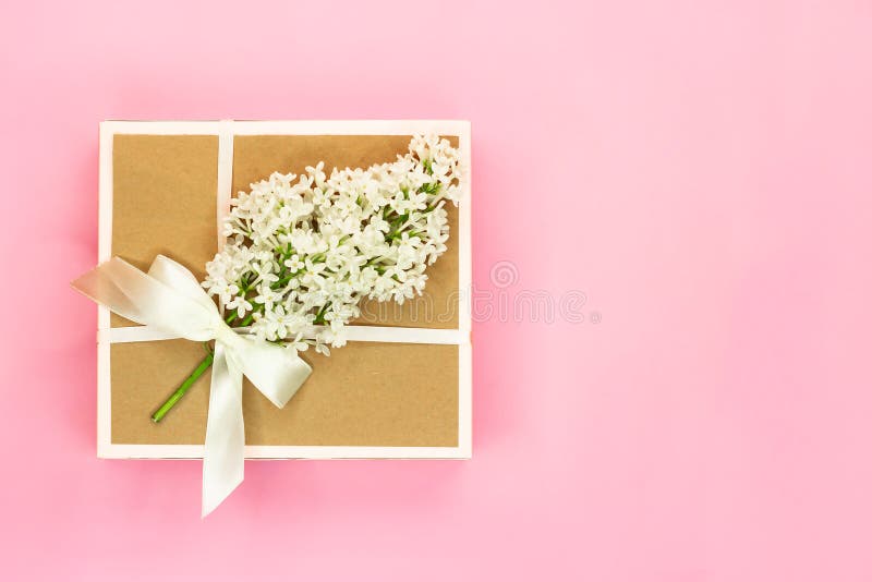 Boîte-cadeau avec l'arc de vacances et feuilles de fleur et vertes lilas blanches sur le fond rose-clair Copiez l'espace photos stock Boîte-cadeau avec l'arc de vacances et feuilles de fleur et vertes lilas blanches sur le fond rose-clair Copiez l'espace photos stock