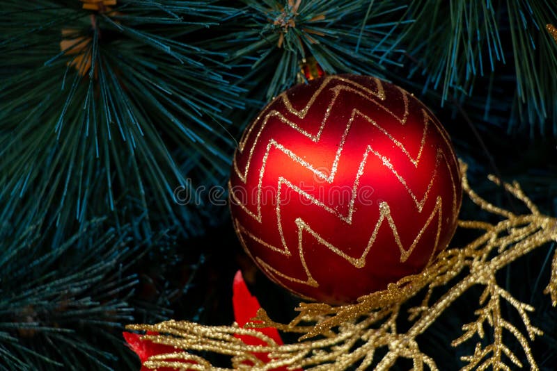 Boże narodzenia eleganckie drzewo w parku w pobliżu dniepru zdjęcie stock