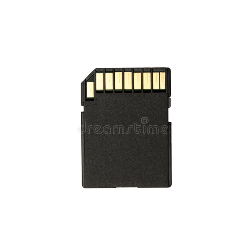 SD memory card isolated on white background. SD memory card isolated on white background.